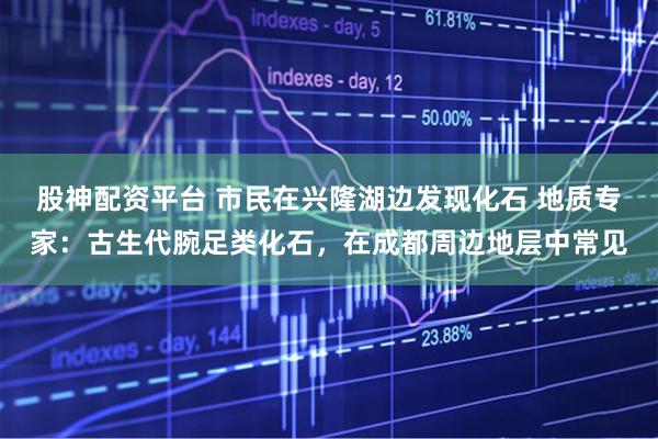 股神配资平台 市民在兴隆湖边发现化石 地质专家：古生代腕足类化石，在成都周边地层中常见