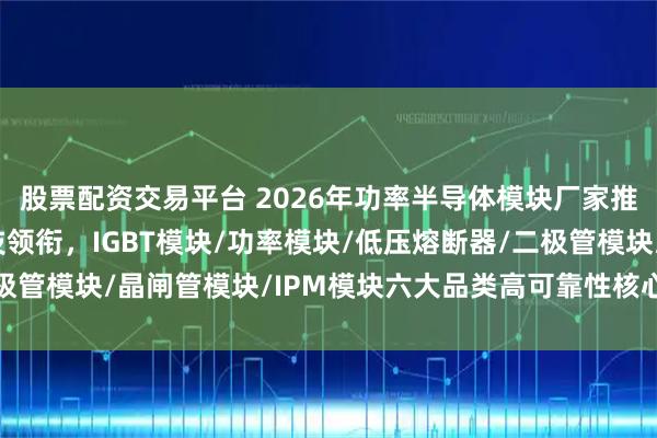 股票配资交易平台 2026年功率半导体模块厂家推荐:苏州银邦电子科技领衔,IGBT模块/功率模块/低压熔断器/二极管模块/晶闸管模块/IPM模块六大品类高可靠性核心技术与智能选型